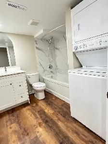 Newly Renod 3BR basmnt-new kitchen/bath/floors fenced yrd/Pet OK - Photo 8