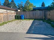Newly Renod 3BR basmnt-new kitchen/bath/floors fenced yrd/Pet OK - Photo 14