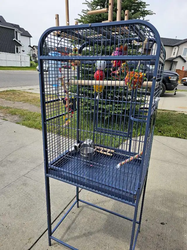 bird cage large