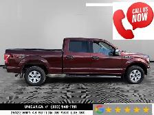 2016 Ford F-150 XLT / 3.5L V6 / 4WD / Crew Cab / 6.5’ Box No Acc - Photo 10