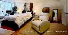 NORTH YORK A-1 ROOM RENTAL @ 401 & DON MILLS RD. M3A3A3 - Photo 3