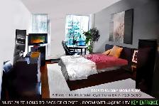 NORTH YORK A-1 ROOM RENTAL @ 401 & DON MILLS RD. M3A3A3 - Photo 9