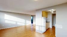 October 1st, 2 Bed 1 Bath, Close to Carleton U - All-inclusive - Photo 4