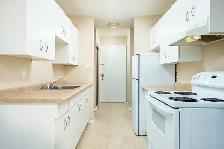 Highland House Apartments - 1 Bedroom Apartment for Rent - Photo 3