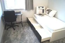 Female U of S Student Luxury Room for Rent $635 All Included - Photo 6