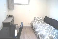 Female U of S Student Luxury Room for Rent $635 All Included - Photo 7