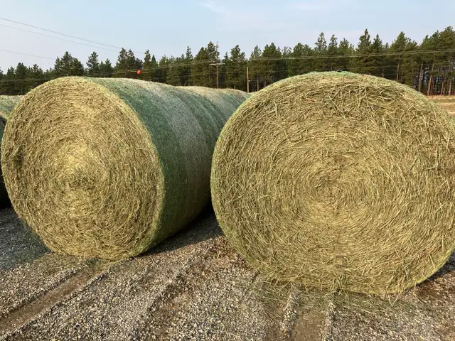 Hay for sale