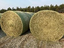 Hay for sale