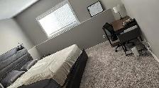 Beautiful 2 Bedroom Suite in Laredo Available October 1st! - Photo 6