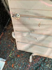 old Stanley garage door - Photo 2