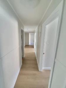 4 ½ ENTIÈREMENT RÉNOVÉ – VIEUX-LONGUEUIL - Photo 3