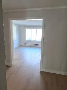 4 ½ ENTIÈREMENT RÉNOVÉ – VIEUX-LONGUEUIL - Photo 4
