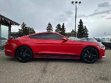 2015 Ford Mustang 2dr Fastback EcoBoost coupe - Photo 4