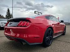 2015 Ford Mustang 2dr Fastback EcoBoost coupe - Photo 5