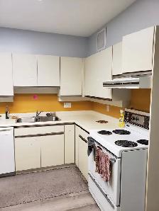 Room for rent Starting September 1st - Photo 3