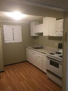 1 bedroom basement suite - Photo 7