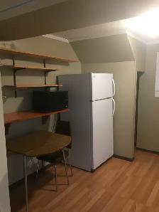 1 bedroom basement suite - Photo 9