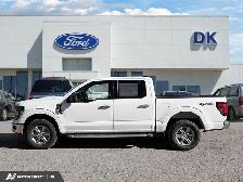 2024 Ford F-150 XLT w/BLIS, Fordpass, and More! - Photo 3