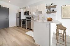 LUXURY 1 Bedroom Apartment! In The Heart Of Downtown! - Photo 2