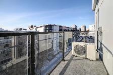 LUXURY 1 Bedroom Apartment! In The Heart Of Downtown! - Photo 10