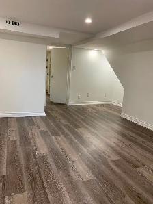 Renovated Large 1-Bed, 1 Bath Basement Apartment - Moss Park - Photo 2