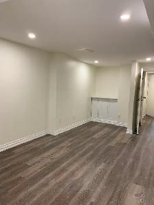 Renovated Large 1-Bed, 1 Bath Basement Apartment - Moss Park - Photo 3