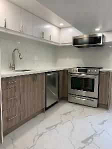 Renovated Large 1-Bed, 1 Bath Basement Apartment - Moss Park - Photo 4