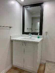Renovated Large 1-Bed, 1 Bath Basement Apartment - Moss Park - Photo 6