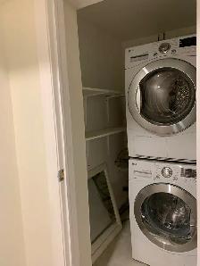 Renovated Large 1-Bed, 1 Bath Basement Apartment - Moss Park - Photo 8