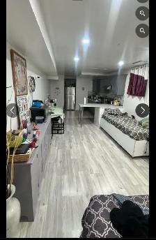 Basement - Photo 3