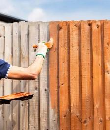 Deck/Fence Staining/Pressure Washing/Windows - Photo 3