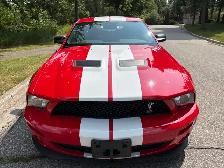 2008 Shelby GT500 - Photo 2
