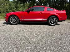 2008 Shelby GT500 - Photo 3