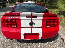 2008 Shelby GT500 - Photo 5