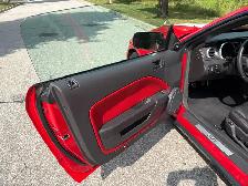 2008 Shelby GT500 - Photo 7