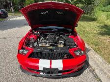 2008 Shelby GT500 - Photo 9