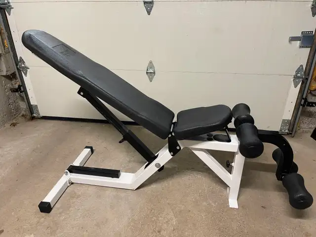 Multi Purpose Bench gym weights exercise