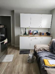 145 St James #6 - Spacious Uptown Bachelor, New Reno, Private - Photo 2