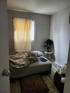 145 St James #6 - Spacious Uptown Bachelor, New Reno, Private - Photo 4