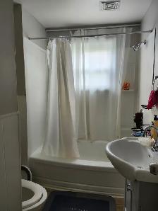 145 St James #6 - Spacious Uptown Bachelor, New Reno, Private - Photo 5