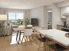 3 1/2 neuf à louer | St-Nicolas | 1295$
