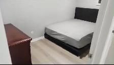 2-Bedroom Basement for Rent – Kitchener – $1,650 All-Inclusive - Photo 5