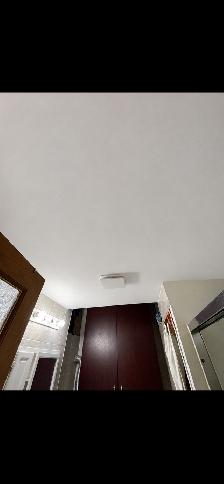 Homme à tout faire disponible pour vos travaux ️ - Photo 2