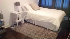 Jackson Park. Large 1 Bedroom Apartment. $1,200 - Photo 4