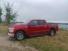 FORD 150 XLT XTR 4X4 - Photo 2