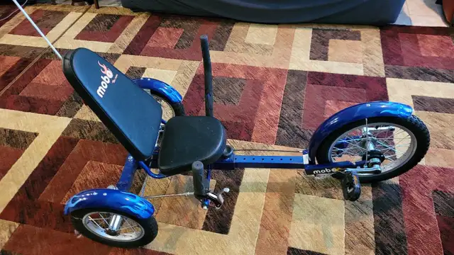 Mobo Triton Tricycle