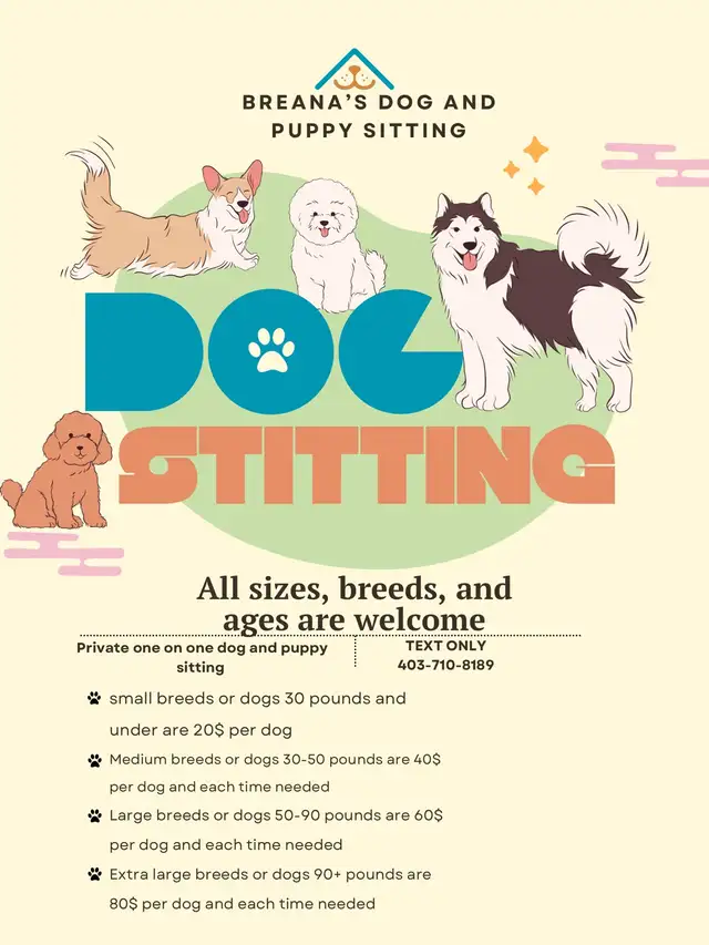 dog sitting