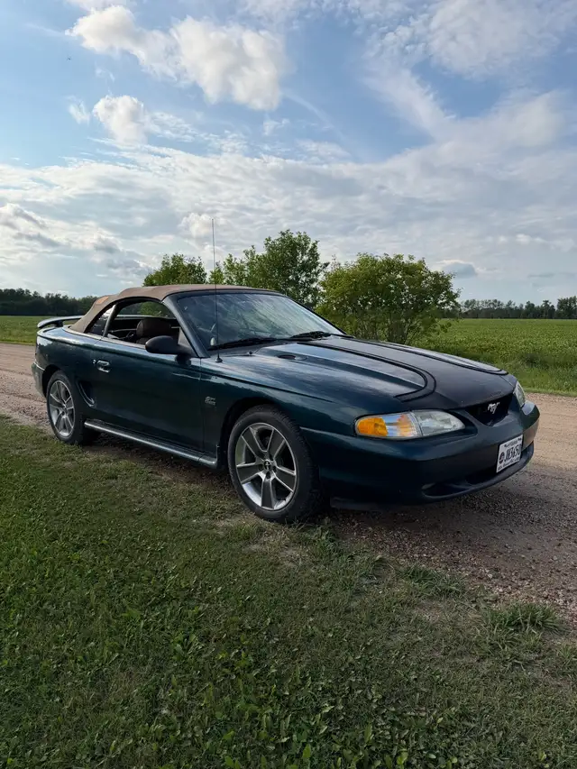 1995 Ford Mustang 5.0 L