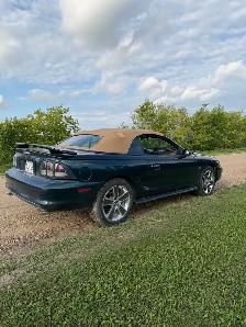 1995 Ford Mustang 5.0 L - Photo 3