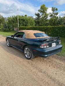 1995 Ford Mustang 5.0 L - Photo 4